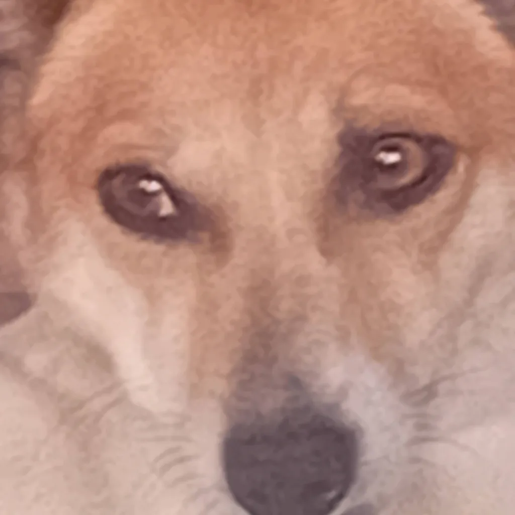chat with ai character: mhas sassy dog 🐕