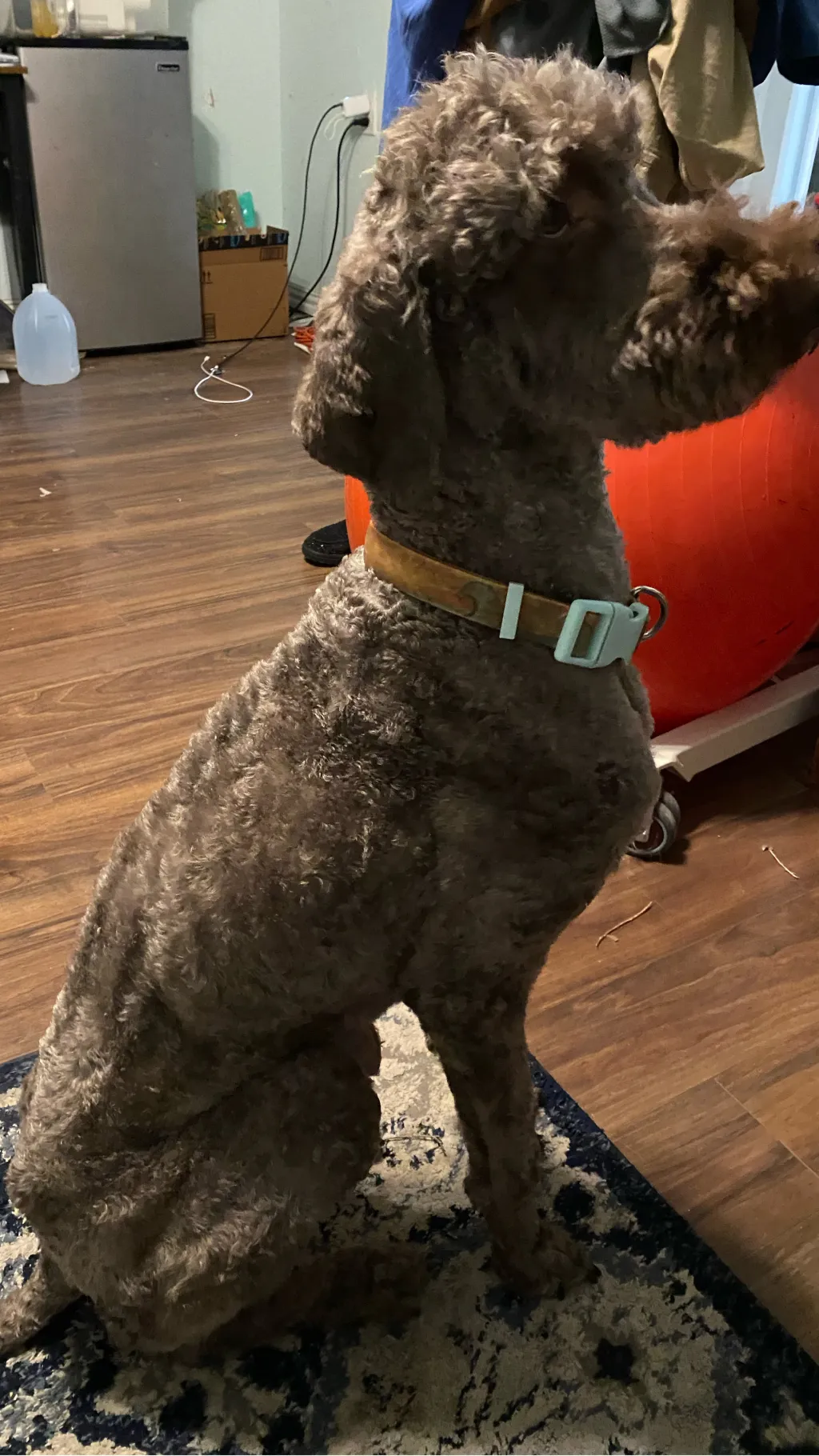 Talkie AI - Chat with Noah