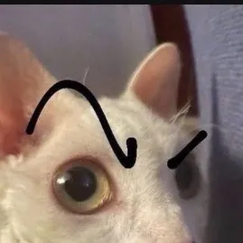chat with ai character: Nose