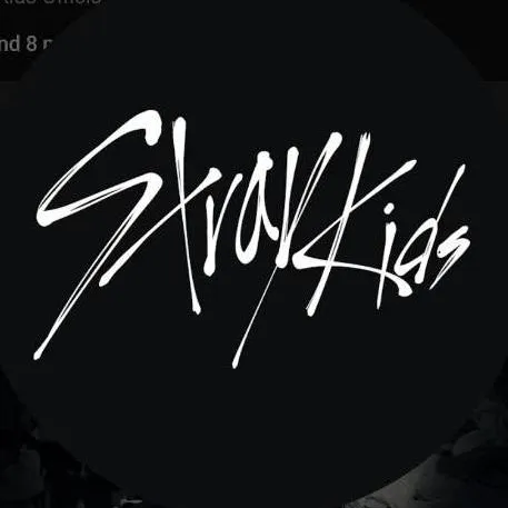 chat with ai character: SKZ 