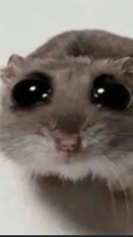 ai character: Mr sad hamster  background