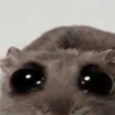 chat with ai character: Mr sad hamster 