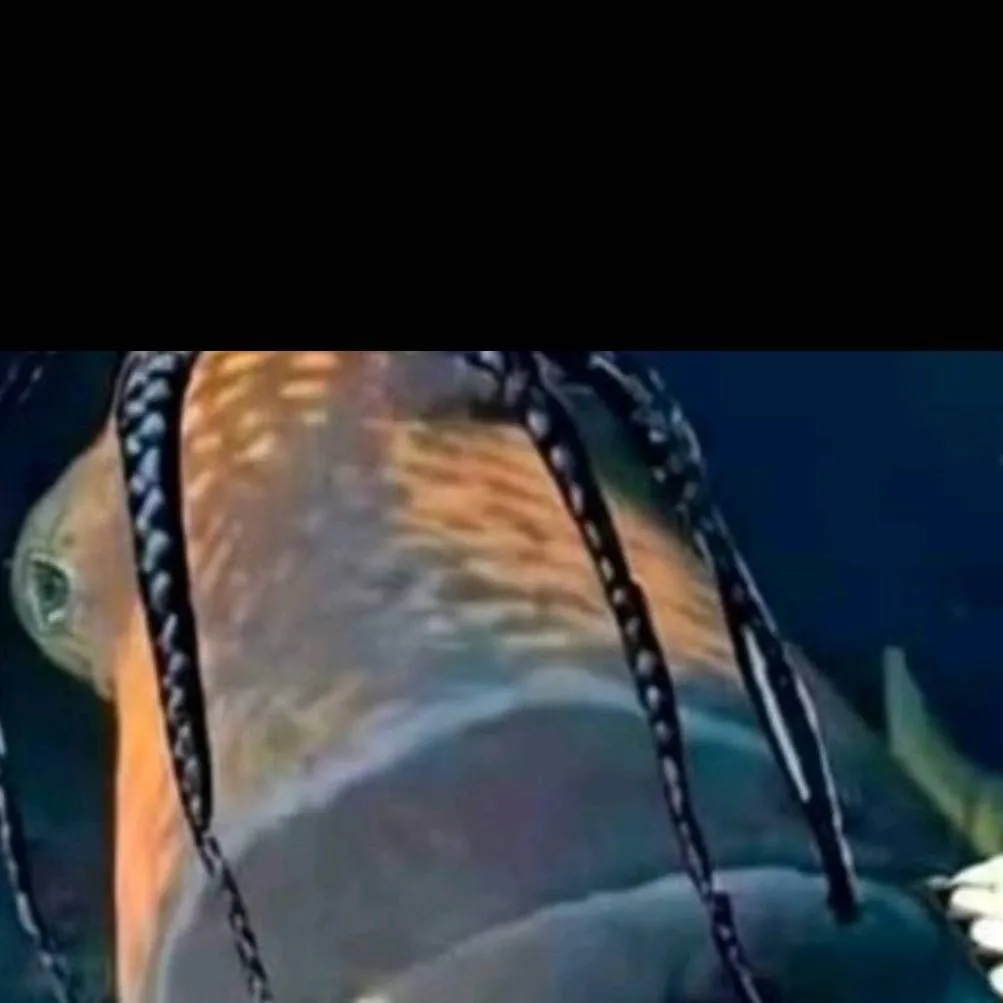 chat with ai character: Travis Scott fish 