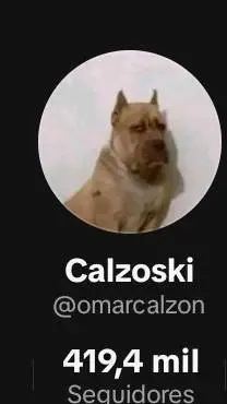 ai character: calzoski background