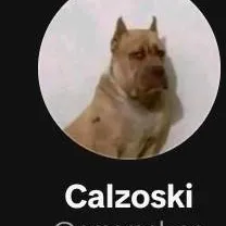 chat with ai character: calzoski