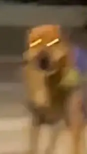 ai character: calzoski. exe  background