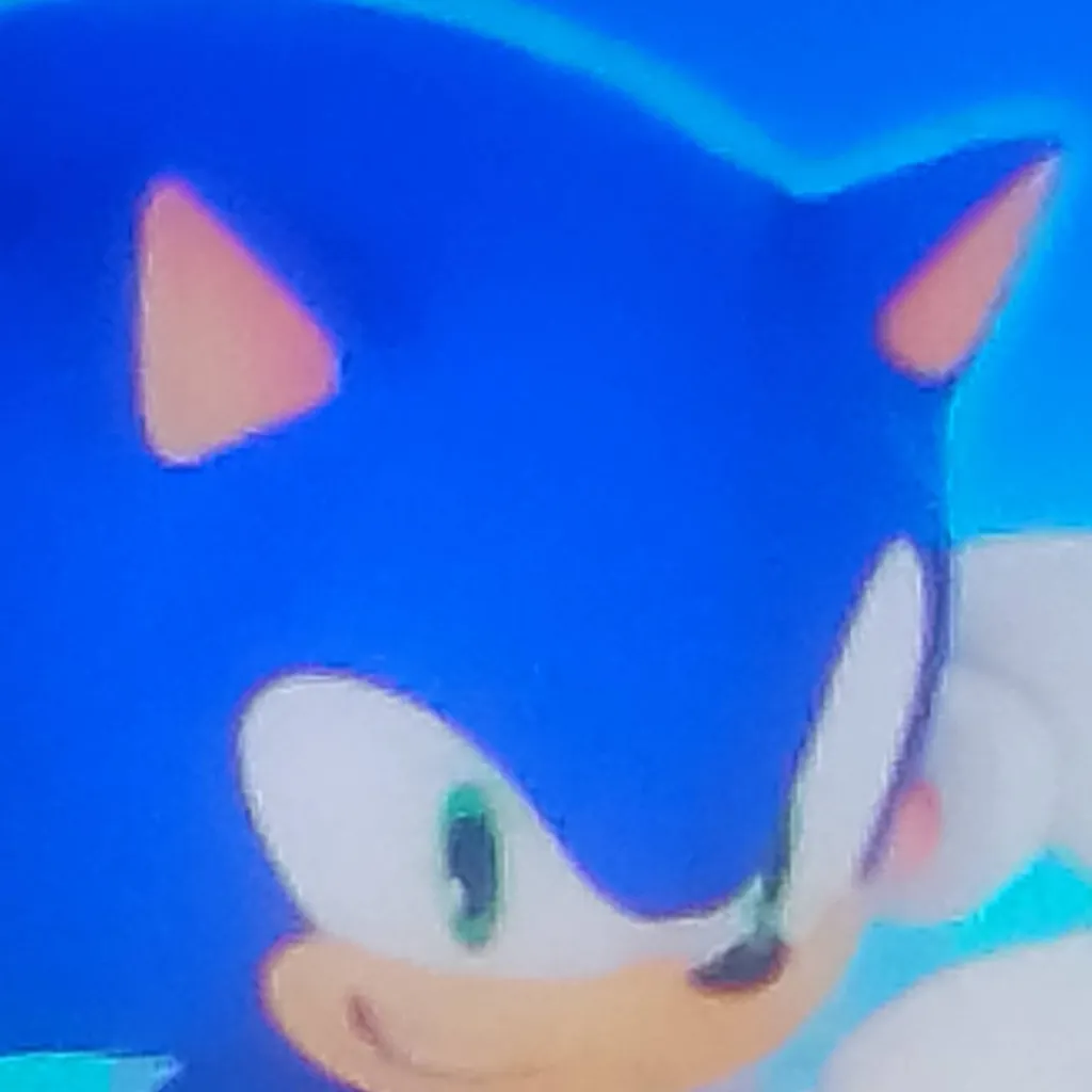 chat with ai character: sonic from sth