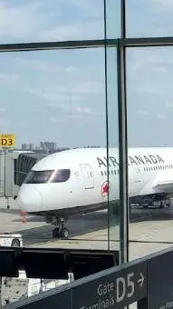 ai character: AirlinesbutFemale background