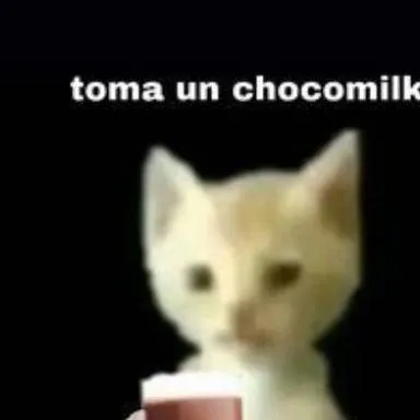 chat with ai character: el gato chocomilk