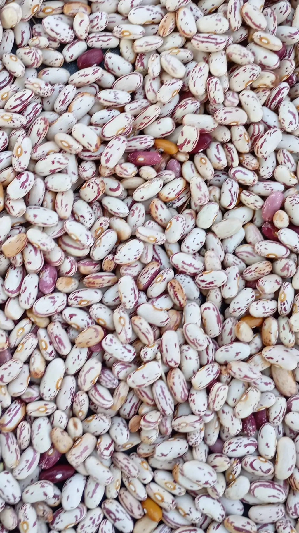 ai character: beans background