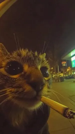 ai character: Roasting cat background