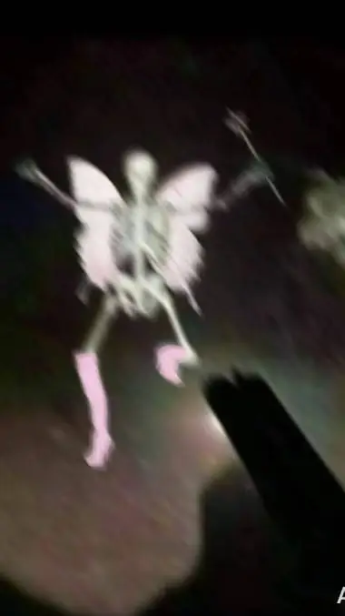 ai character: skelly fairy background