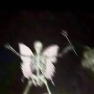 chat with ai character: skelly fairy
