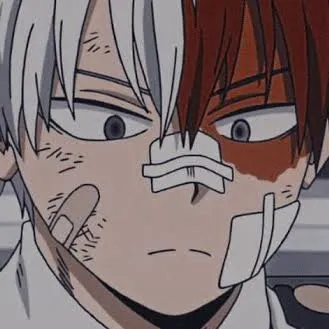 chat with ai character: Shoto Todoroki~