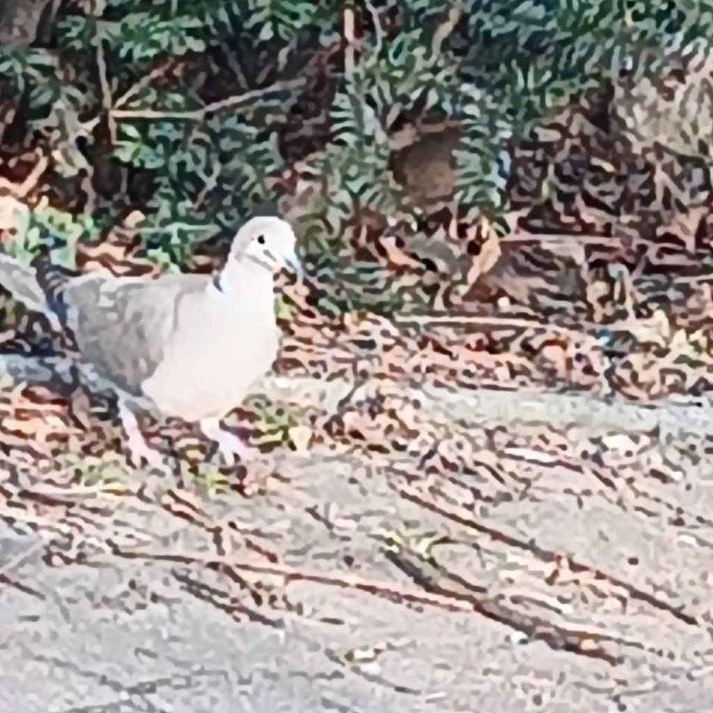 chat with ai character: mha