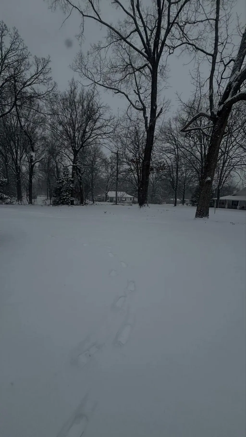 ai character: Play in the snow! background