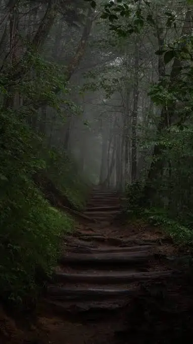 Talkie AI - Chat with Appalachia