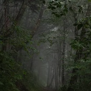 chat with ai character: Appalachia