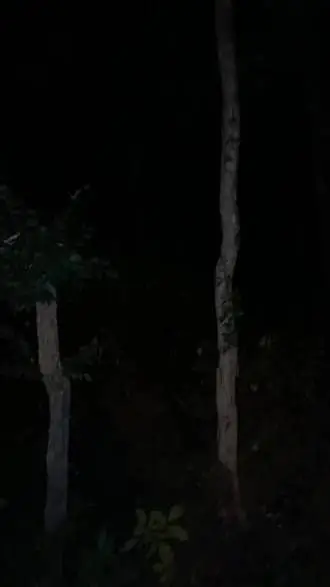 Talkie AI - Chat with Appalachia