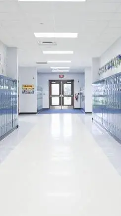 ai character: 被遗弃病娇高中学院 background