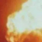 chat with ai character: eddie munson 