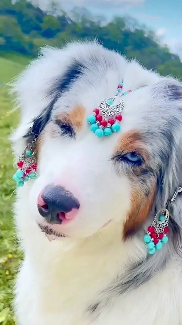 Talkie AI - Chat with <{Slufie}>