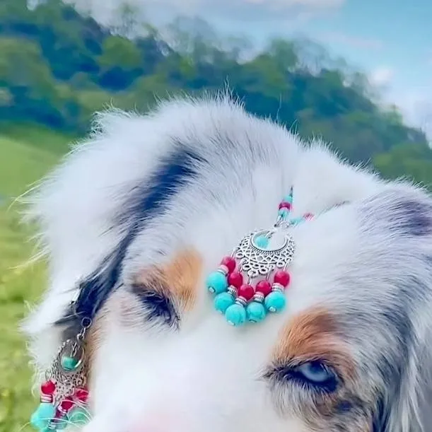 chat with ai character: <{Slufie}>