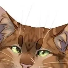 chat with ai character: Crookedstar