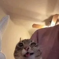 chat with ai character: Huzzahdudgd (me)