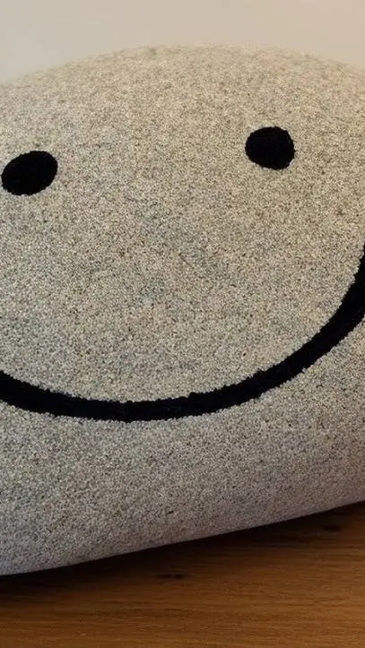 ai character: Pet rock Stone background
