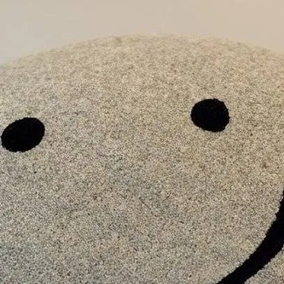 chat with ai character: Pet rock Stone