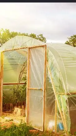 ai character: Greenhouse empty background