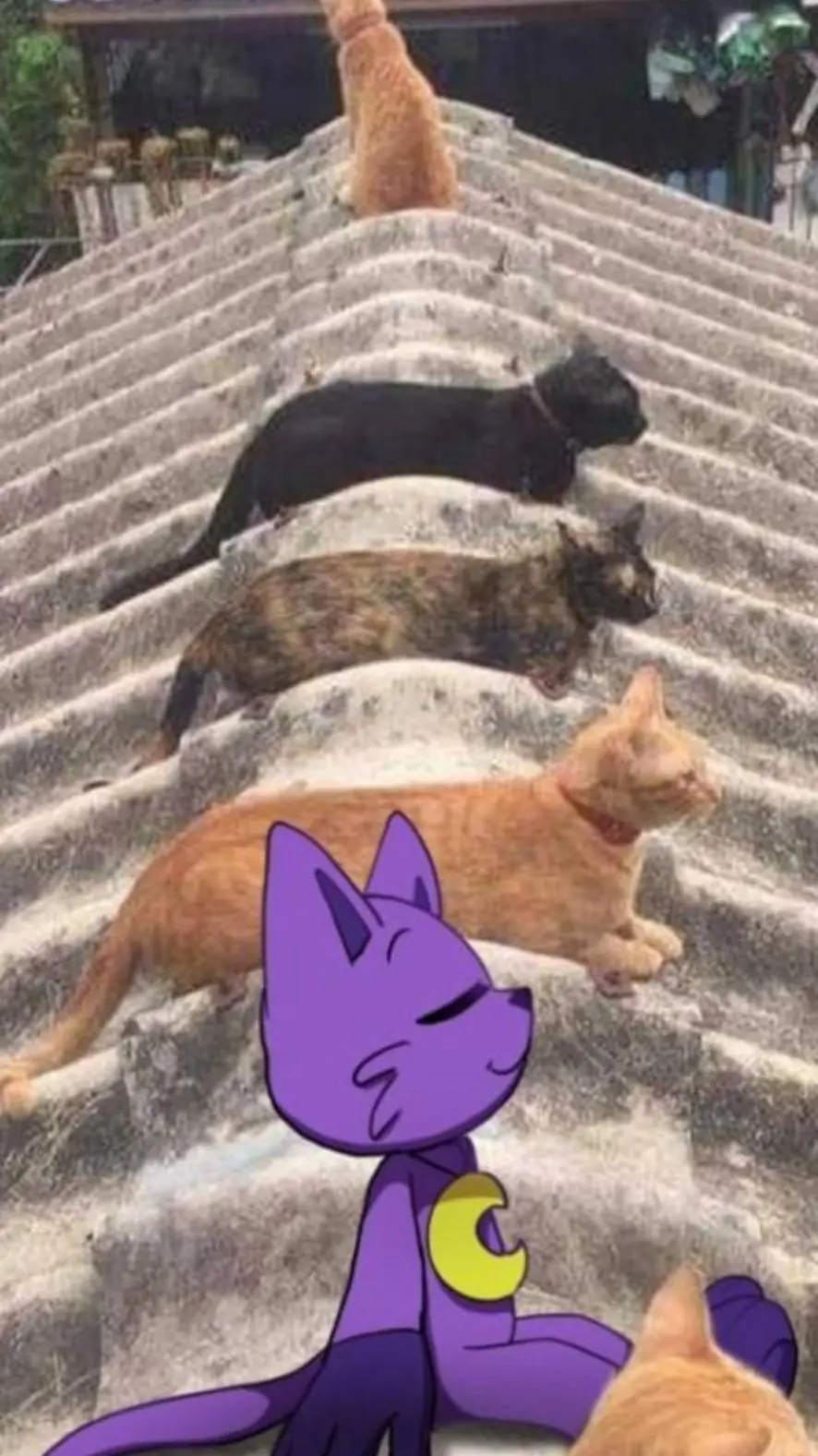 ai character: catnap  background