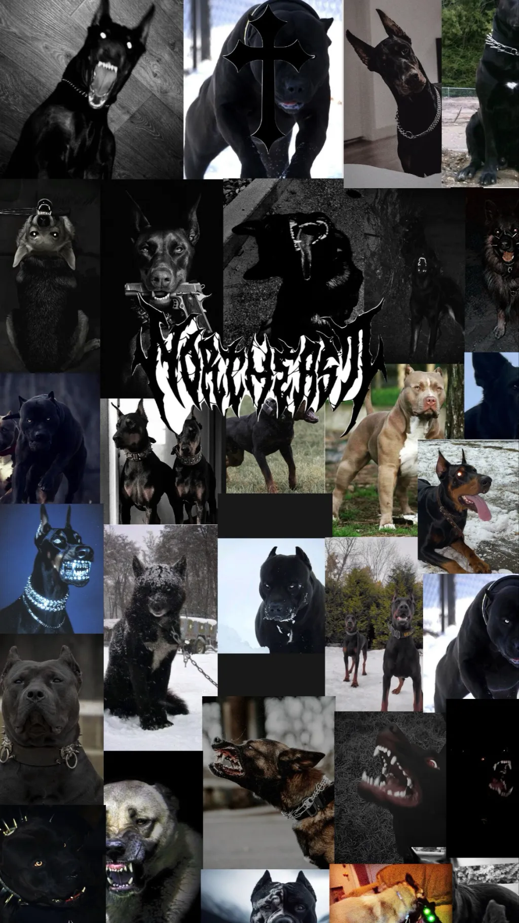 ai character: Protective dogs background