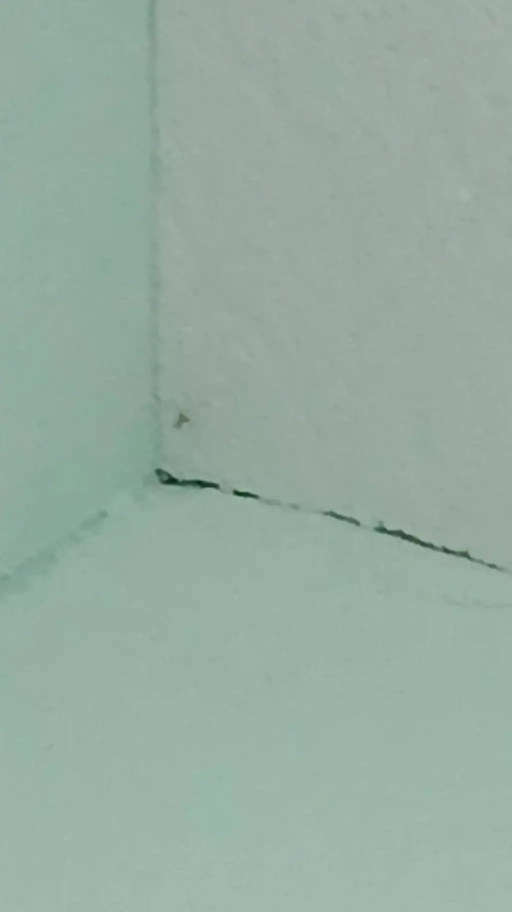 ai character: Billy background