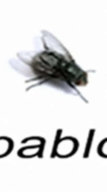 ai character: Fly background