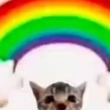 chat with ai character: hateful cat