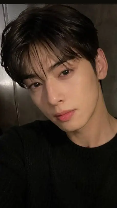 ai character: 🇰🇷 Cha-eun-woo🌹  background