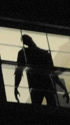 ai character: Window Shadow background
