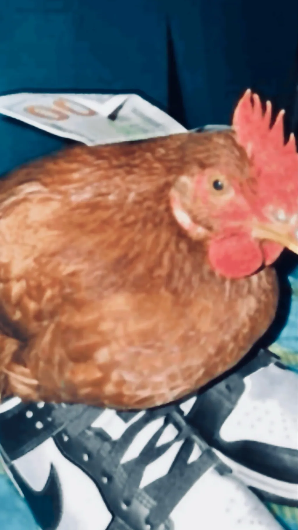 ai character: mad chicken background