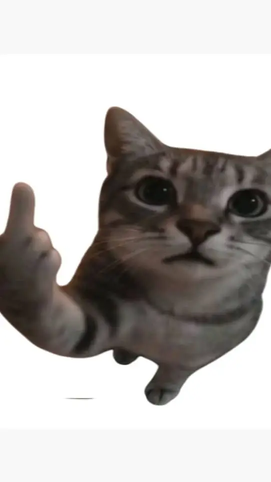 ai character: gato grosero😾🖕 background