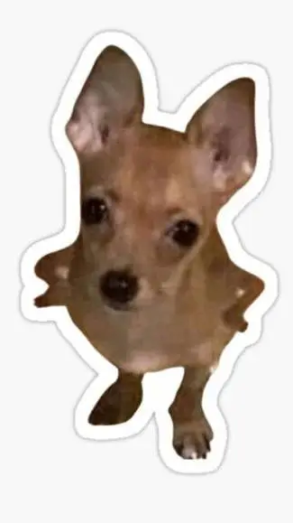 ai character: perrito callejero🥹 background