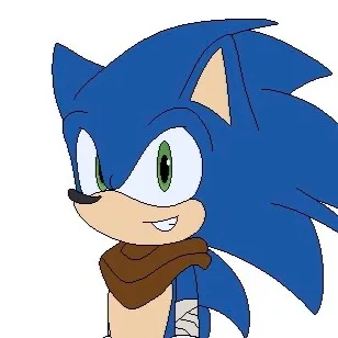 chat with ai character: Boom sonic!