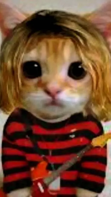 ai character: kurt Cobain (cat) background