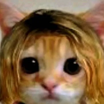chat with ai character: kurt Cobain (cat)