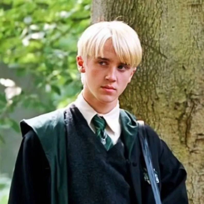 chat with ai character: Draco Malfoy