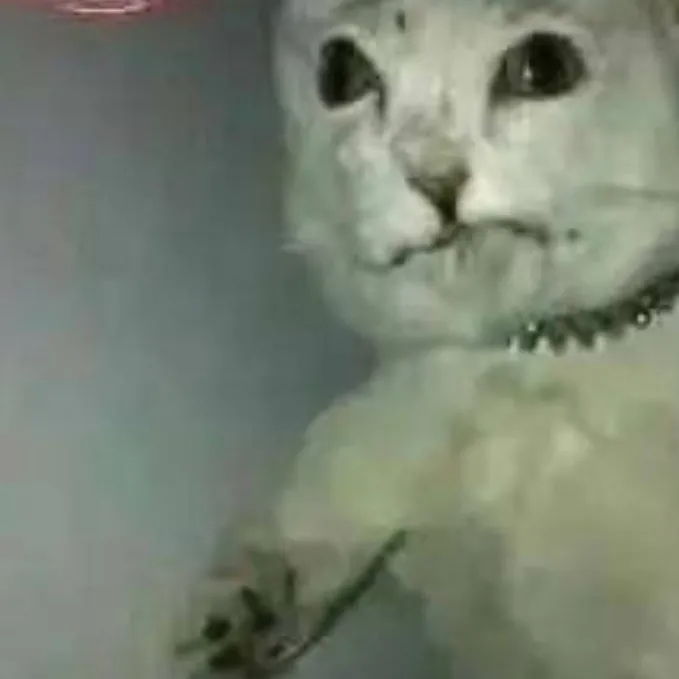 chat with ai character: furry pet