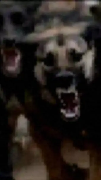 ai character: dog background