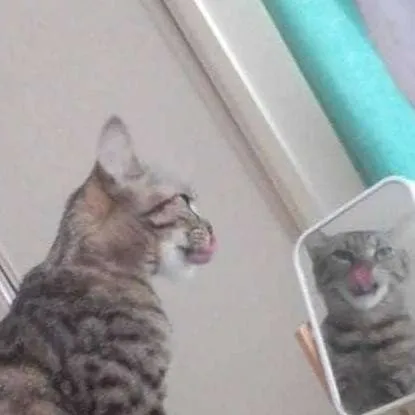 chat with ai character: mully.... 