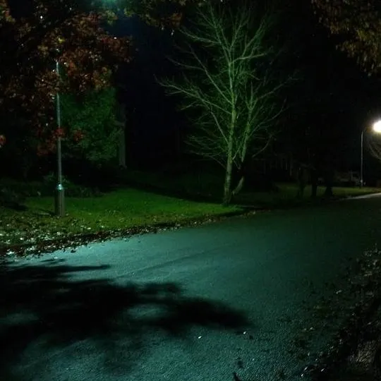 chat with ai character: Darkened Suburbs?